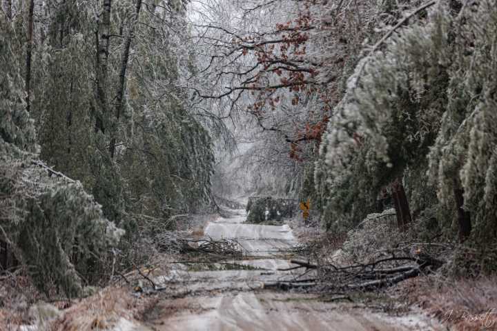 Presque Isle Electric & Gas Cooperative’s appeal for ice storm aid denied by FEMA