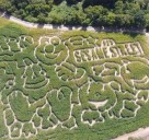 Get lost in Elmo’s world at a giant Upstate NY corn maze ranked among the best in America