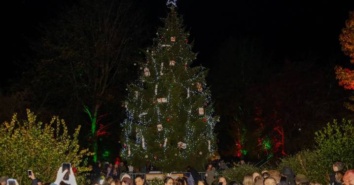 Date confirmed for Christmas light switch-on in Clifton as organisers make plea
