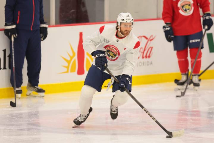 Panthers Sign Noah Gregor To Two