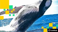 Why Bitcoin Whales Are Increasingly Swapping Their BTC for ETF Shares: Bloomberg
