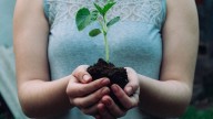 Octubre 2025: hacia un movimiento climático en México
