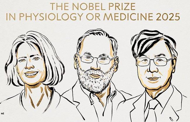 Dan el Premio Nobel de Medicina por la tolerancia inmune periférica; inician reconocimientos mundiales