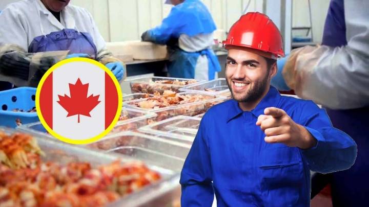 Canadá da trabajo a mexicanos con primaria terminada; hay sueldo de 34 mil pesos