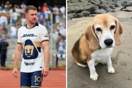 Aaron Ramsey pide ayuda para localizar a su perro perdido en Guanajuato
