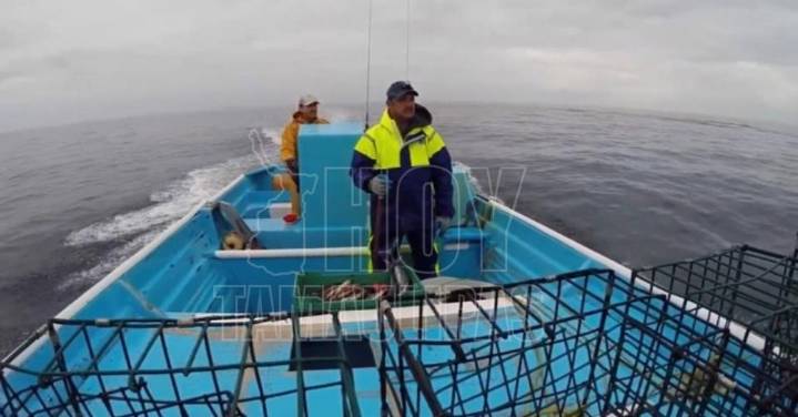 Conapesca activa nuevos periodos de pesca y vedas en octubre