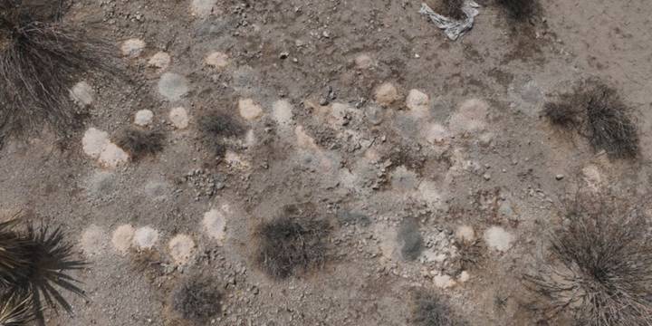 Espeluznante hallazgo en Las Vegas: encontraron más de 300 pilas de restos humanos en una propiedad