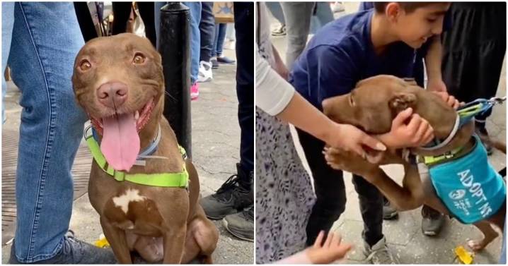 Family Attends Adoption Event And Finds 'Long