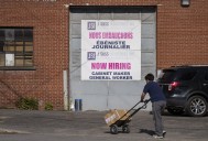 Conservatives pitch training reform to address high youth unemployment