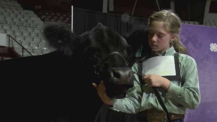 Godwin family keeps livestock tradition alive at Arkansas State Fair