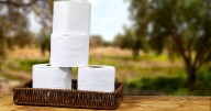 Don't throw away cardboard loo rolls as they're needed in your garden