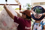 ¿Tienes latas o botellas? Cámbialas por ropa, libros y más en la Ecoferia de Campeche