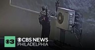 Termini Bros Bakery vandalized, Philadelphia firefighter killed and more headlines