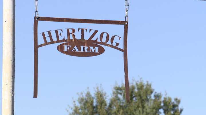 Missouri cattle industry veteran says president's Argentina beef import plan an 'insult'