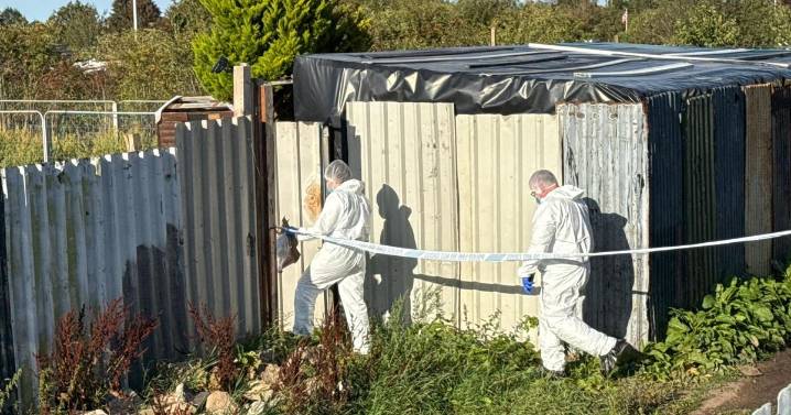 Police 'not seeking anyone' in connection with discovery of body at Middlesbrough allotments