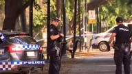 Brisbane’s Botanical Gardens locked down after man with knife was spotted