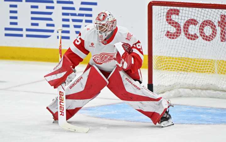 Mason Appleton scores in final minute; Red Wings top Leafs again - The Rink Live | Coverage of youth, junior, high school and college hockey