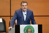 PAN pide no dar carpetazo a denuncia contra Ana Gabriela Guevara por desfalco de 186 mdp a CONADE
