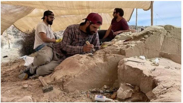 El nuevo streaming del Conicet en busca de una nueva especie de dinosario: cuándo empieza y dónde verlo