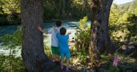 Verano y primavera en El Bolsón: senderos, refugios, pesca y festivales para vivir la Comarca Andina