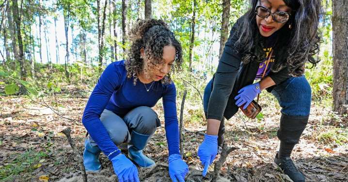 Among bones and maggots, LSU researchers are building a database to help solve crimes
