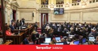 Sesión Los 7 senadores que votaron en contra al Hospital Garrahan y al Financiamiento Universitario