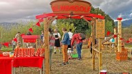El Spin Festival convertirá la plaza San Antonio en un campo de minigolf