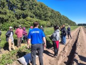 Operativo. Un sindicato dijo que detectó irregularidades en el 40% de los trabajadores rurales durante una fiscalización