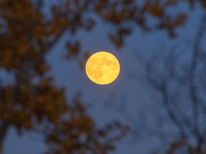 Montreal weather: You thought last night's moon was super? Just wait