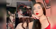 Identifican a una joven que dio alcohol a una perrita y la expulsan de la Universidad Pedagógica Nacional; grabó VIDEO riendo mientras lo hacía