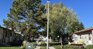 City of Cheyenne officials consider code change to allow wider variety of tree sizes in new residential properties