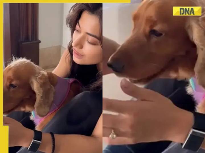 VIRAL! Rashmika flaunts huge diamond ring in new photo, fans say 'Vijay ne..'