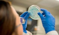 Alertan que el mal uso de antibióticos impulsa una crisis en hospitales