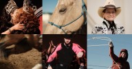 Gay rodeo finals in Nevada celebrate 50 years of drawing queer cowboys together