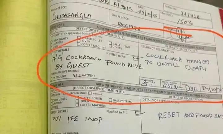 Air India Cabin Crew “Execute” Cockroach Mid-Air; Leave Netizens In Splits