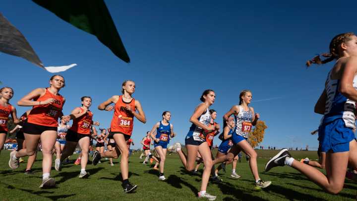 How Eugene-Springfield XC runners fared at district championships