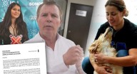 Carolina Araiza deja la Dirección de Protección Animal en Sonora; activistas reclaman su salida