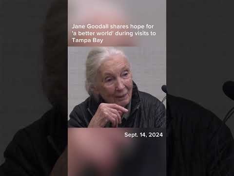 Jane Goodall's visits to Tampa Bay