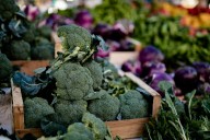 Producción agrícola de Guanajuato supera los 80 mil mdp: UG impulsa la innovación agroalimentaria