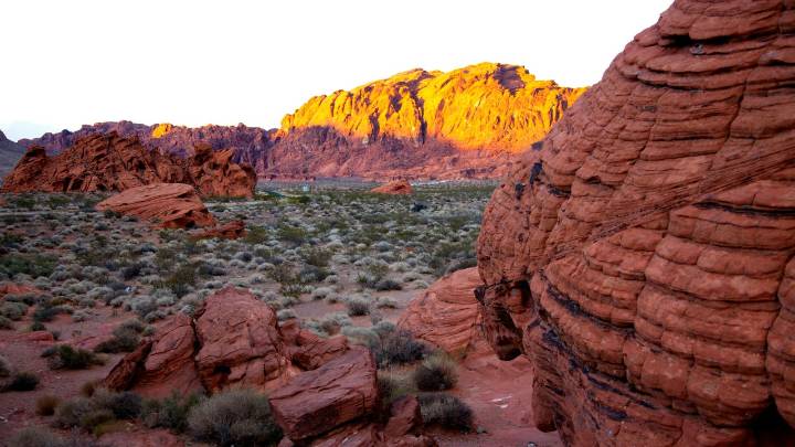 Descubren más de 300 montones de restos humanos en el desierto cerca de Las Vegas