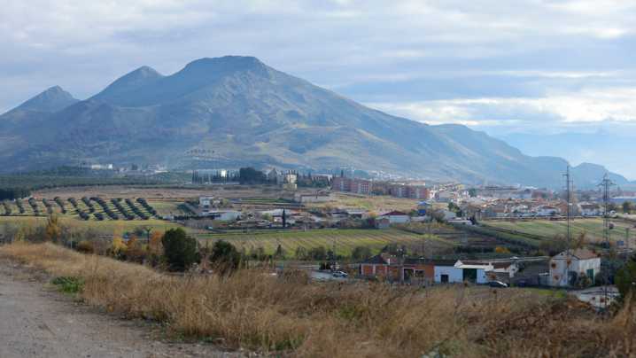 A juicio por estafa en la compra de 62.000 kilos de aceituna para su fábrica de aceite en Pinos Puente