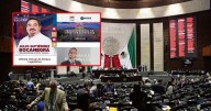 Diputados de Morena sin oficinas ni informes: detectan presunta fuga de más de 100 millones de pesos en la Cámara