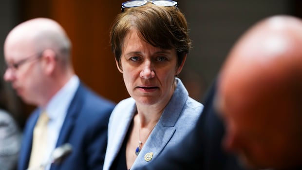 Border kiosk outages ‘not acceptable,’ CBSA president says