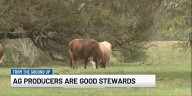 From the Ground Up: Stewards of the land