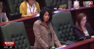 IL House Democrats approve resolution condemning political violence