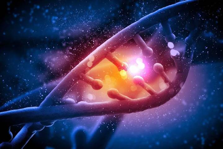 Descubren una nueva enfermedad genética que provoca debilidad muscular progresiva