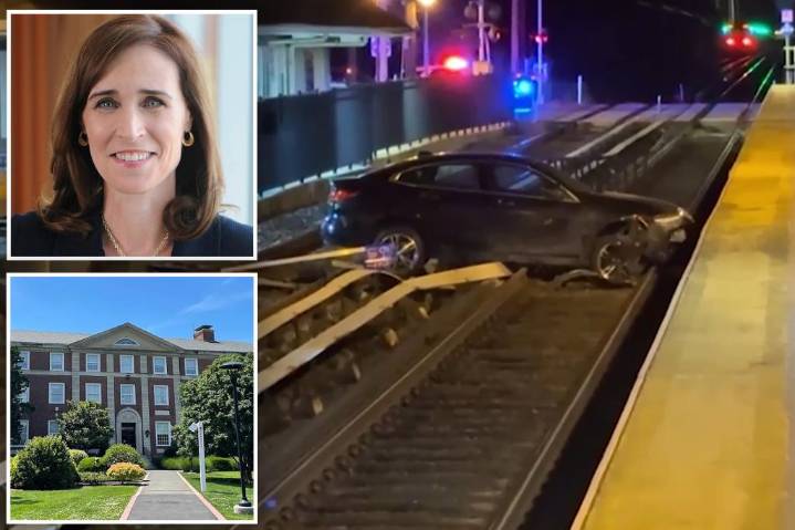 Ex-Adelphi University president charged with drunken driving after wild crash ends with car landing onto LIRR tracks: cops