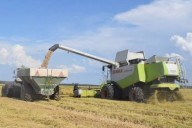 REPORTE EXCLUSIVO! Casi 100% creció la exportación de un cereal producido en Corrientes