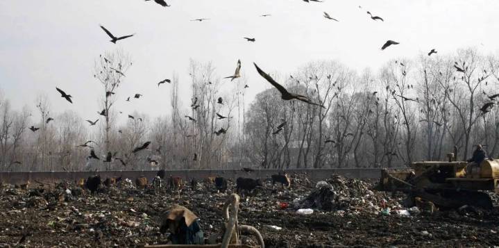 550 Tonnes Daily: J&K Govt admits Achan dump poses health & environment hazards