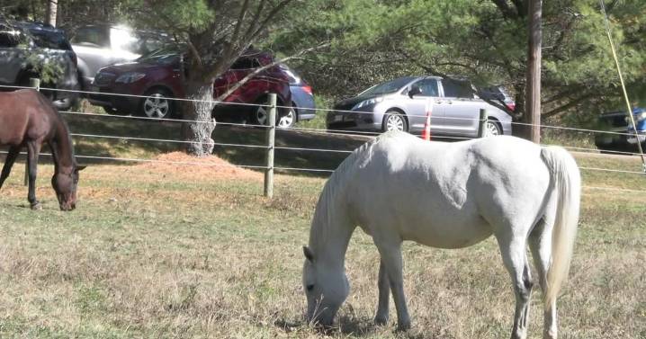 Reigning Hope Ranch in Orrington offers healing through horses